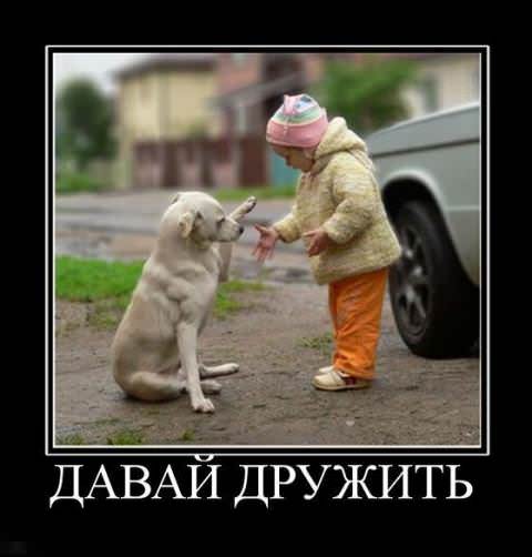 Демотиваторы про собак