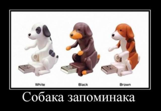 Демотиваторы про собак