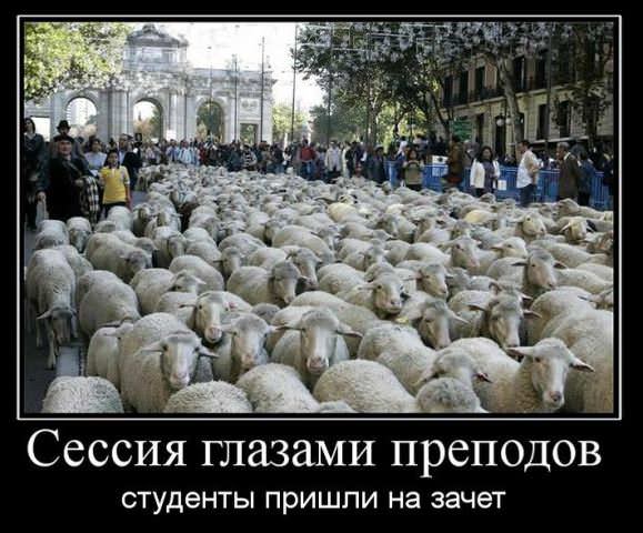 Демотиваторы про студентов