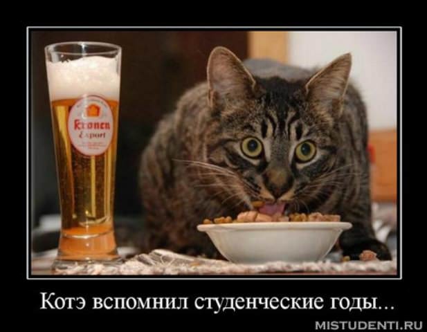 Демотиваторы про студентов