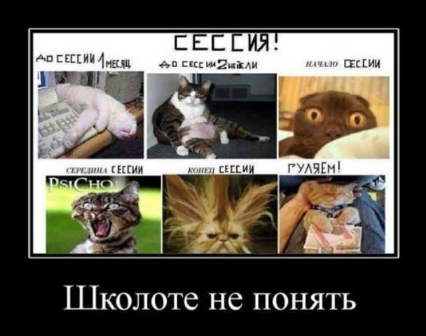 Демотиваторы про школу