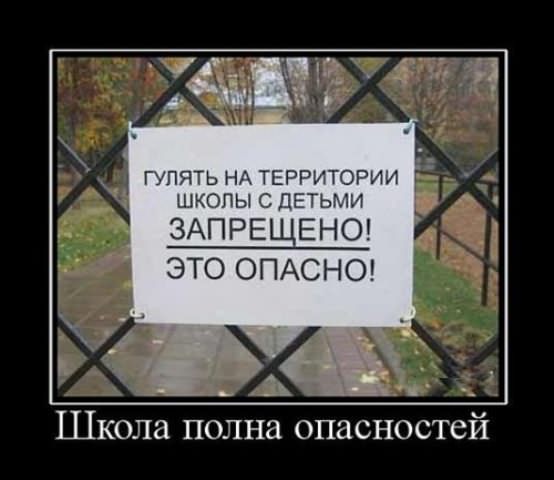 Демотиваторы про школу