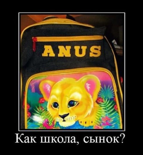 Демотиваторы про школу