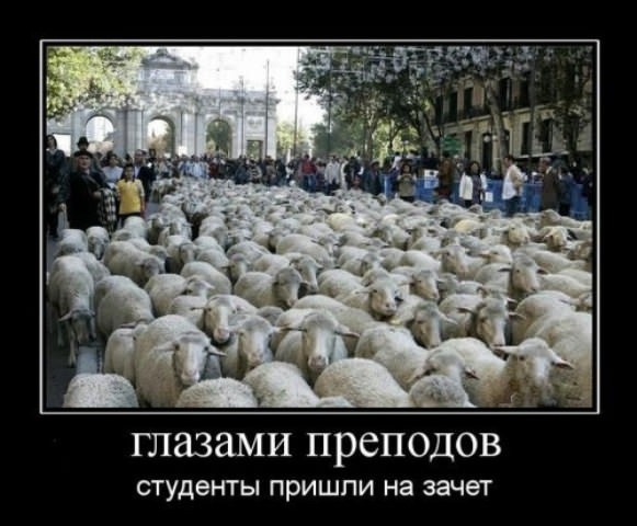 Демотиваторы про школу