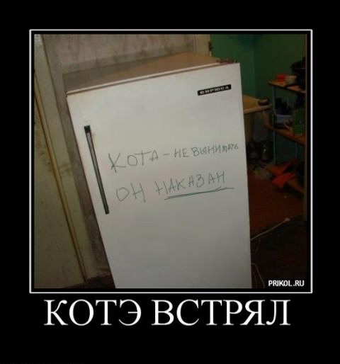 Демотиваторы приколы