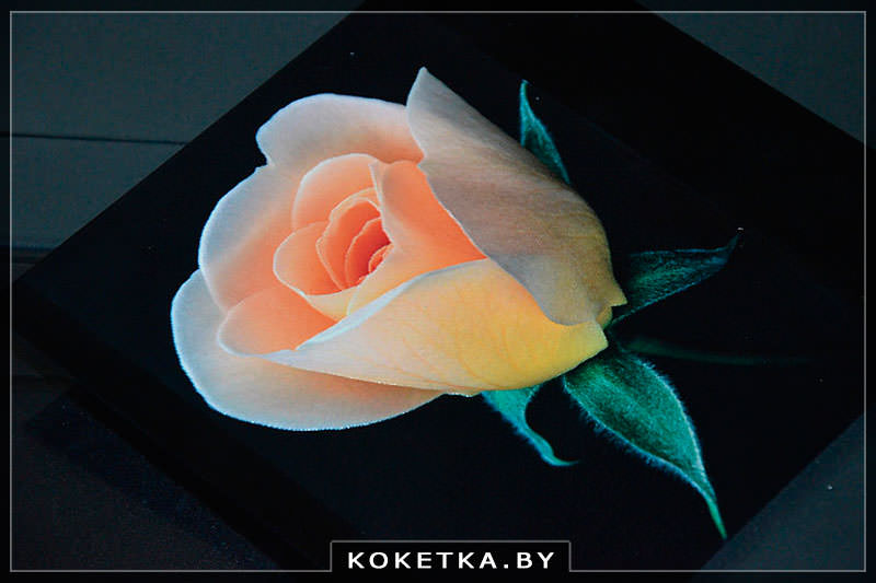 Фотоплитка