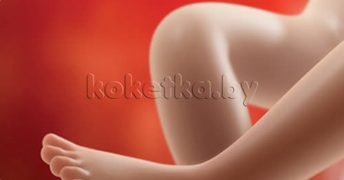 Фото плода - беременность 36 недель