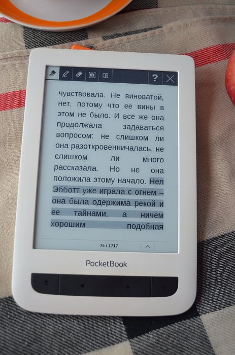 "В тихом омуте" - отрывок из книги, fb2
