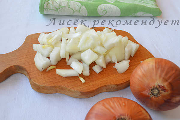 репчатый лук