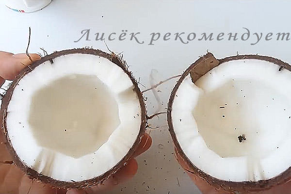 Кокосовый орех, расколотый пополам