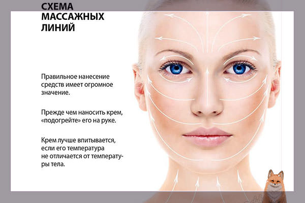 Массажные линии