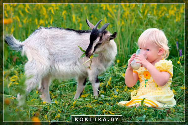 Молочные продукты в рационе ребенка
