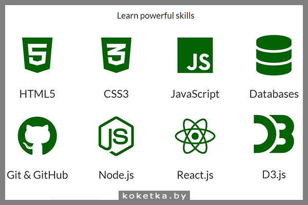 freeCodeCamp