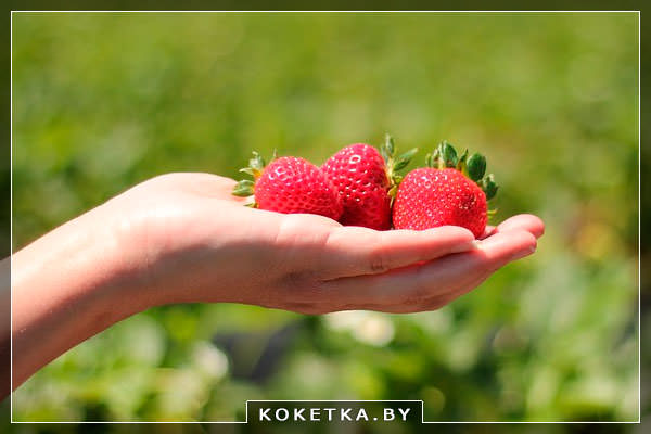 Клубничная маска для лица