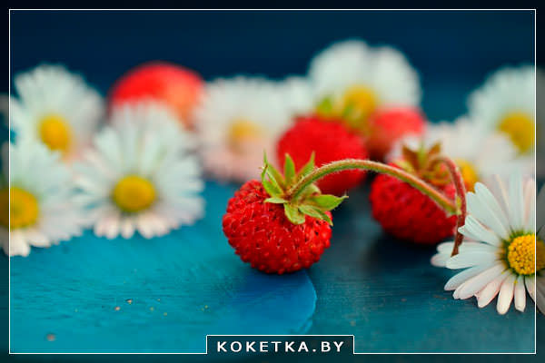 Ромашка и клубника для маски для лица