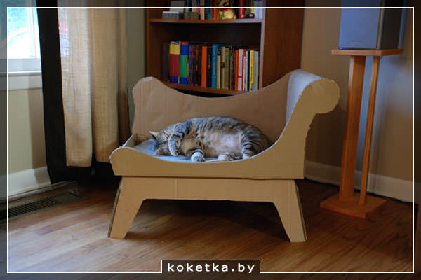 Что можно сделать из старой коробки