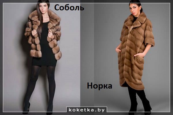 Шубы из соболя и норки