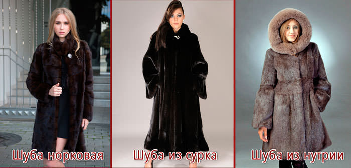 шуба норка, сурок и нутрия
