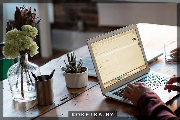 Растения на рабочем столе в кабинете дома