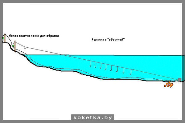 Как ловить на резинку: схема