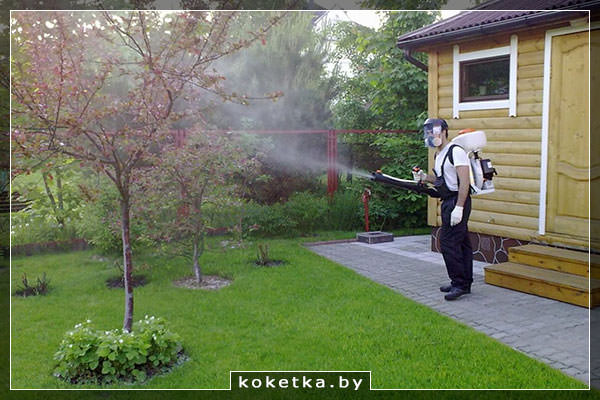 Защита от клещей