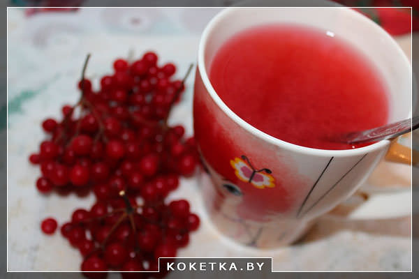 Свежий сок из калины