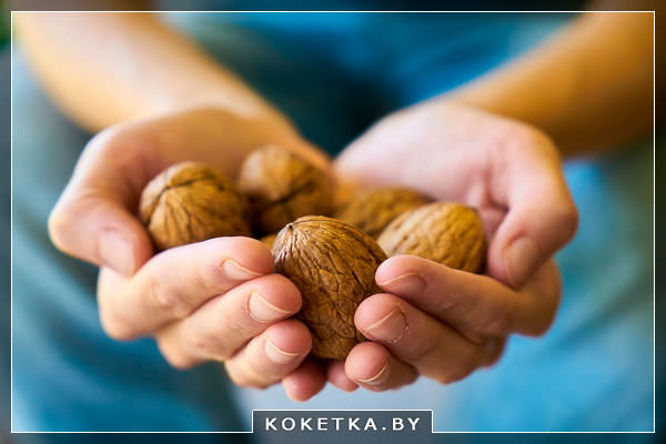 Заболевания которые можно предотвратить с помощью грецкого ореха