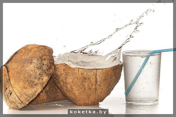 Кокосовое молоко и кокосовая вода: в чём разница?