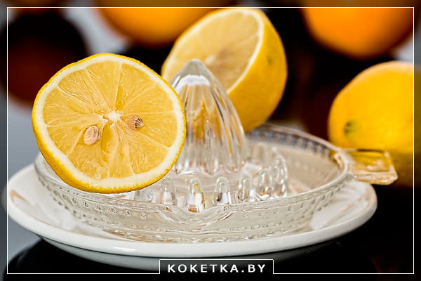Устройство для отжима сока